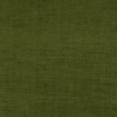 Clarke & Clarke Riva Velvet in Moss